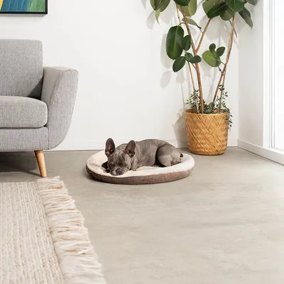 lionto coussin rond pour chien en forme de donut, doux et lavable lionto coussin rond pour chien en forme de donut, doux et lavable