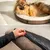 lionto coussin rond pour chien en forme de donut, doux et lavable lionto coussin rond pour chien en forme de donut, doux et lavable