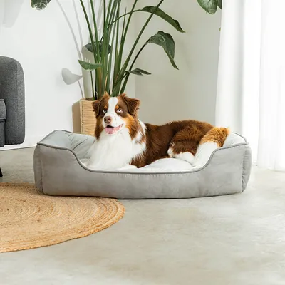 lionto lit pour chien 2-en-1 réversible, doux, lavable et confortable lionto lit pour chien 2-en-1 réversible, doux, lavable et confortable