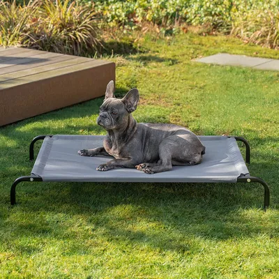 lionto lit pour chien extérieur surélevé en tissu respirant robuste