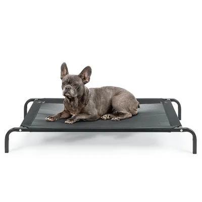 lionto lit pour chien extérieur surélevé en tissu respirant robuste