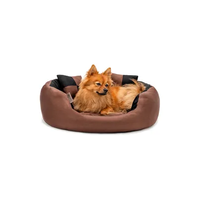 lionto panier pour chien 4-en-1 avec coussin réversible en tissu Oxford lionto panier pour chien 4-en-1 avec coussin réversible en tissu Oxford