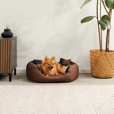 lionto panier pour chien 4-en-1 avec coussin réversible en tissu Oxford