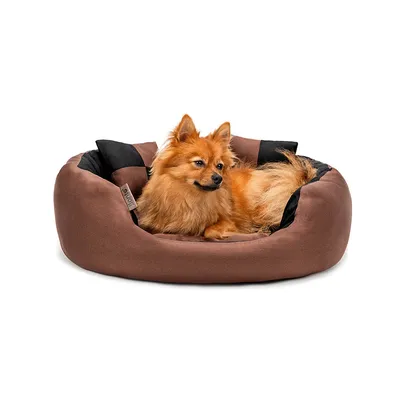 lionto panier pour chien 4-en-1 avec coussin réversible en tissu Oxford