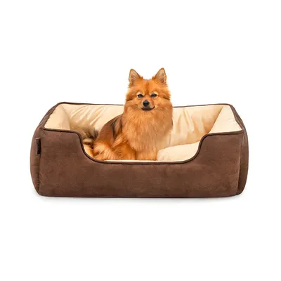 lionto lit pour chien 2-en-1 réversible, doux, lavable et confortable