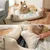 lionto panier pour chien avec coussin moelleux et entrée basse lionto panier pour chien avec coussin moelleux et entrée basse