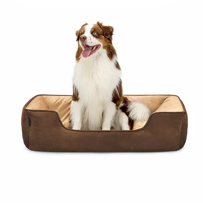 lionto lit pour chien 2-en-1 réversible, doux, lavable et confortable