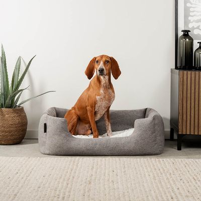 lionto Hundebett mit weichem Kissen und niedrigem Einstieg