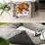 lionto panier pour chien avec coussin moelleux et entrée basse lionto panier pour chien avec coussin moelleux et entrée basse