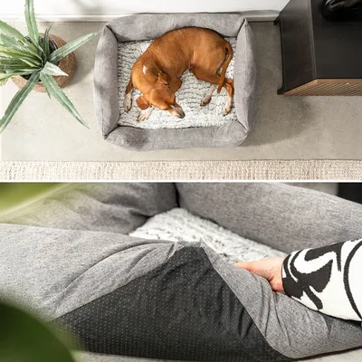 lionto panier pour chien avec coussin moelleux et entrée basse lionto panier pour chien avec coussin moelleux et entrée basse