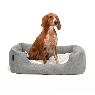 lionto panier pour chien avec coussin moelleux et entrée basse