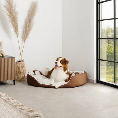 lionto panier pour chien 4-en-1 avec coussin réversible en tissu Oxford lionto panier pour chien 4-en-1 avec coussin réversible en tissu Oxford