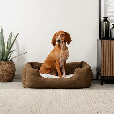 lionto Hundebett mit weichem Kissen und niedrigem Einstieg