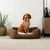 lionto panier pour chien avec coussin moelleux et entrée basse lionto panier pour chien avec coussin moelleux et entrée basse