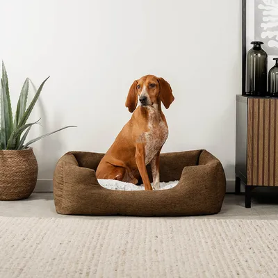 lionto panier pour chien avec coussin moelleux et entrée basse lionto panier pour chien avec coussin moelleux et entrée basse