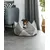 lionto coussin couronne pour chien et chat en suédine douce, lavable lionto coussin couronne pour chien et chat en suédine douce, lavable