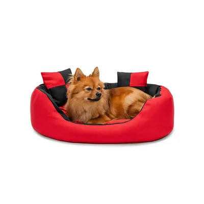 lionto panier pour chien 4-en-1 avec coussin réversible en tissu Oxford