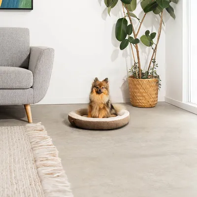 lionto coussin rond pour chien en forme de donut, doux et lavable