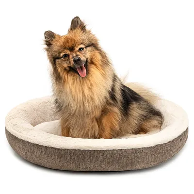lionto coussin rond pour chien en forme de donut, doux et lavable lionto coussin rond pour chien en forme de donut, doux et lavable