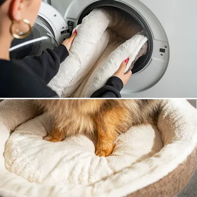 lionto coussin rond pour chien en forme de donut, doux et lavable