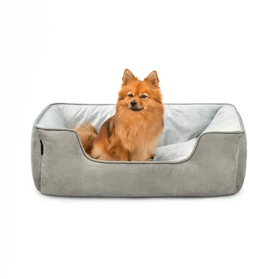 lionto lit pour chien 2-en-1 réversible, doux, lavable et confortable