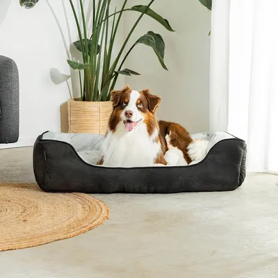 lionto lit pour chien 2-en-1 réversible, doux, lavable et confortable