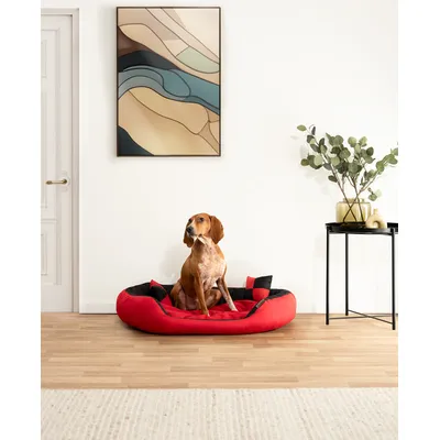 lionto panier pour chien 4-en-1 avec coussin réversible en tissu Oxford lionto panier pour chien 4-en-1 avec coussin réversible en tissu Oxford