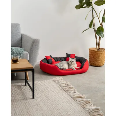 lionto panier pour chien 4-en-1 avec coussin réversible en tissu Oxford lionto panier pour chien 4-en-1 avec coussin réversible en tissu Oxford