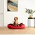 lionto panier pour chien 4-en-1 avec coussin réversible en tissu Oxford lionto panier pour chien 4-en-1 avec coussin réversible en tissu Oxford
