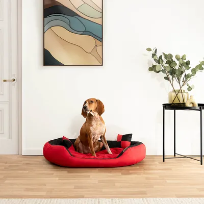 lionto panier pour chien 4-en-1 avec coussin réversible en tissu Oxford lionto panier pour chien 4-en-1 avec coussin réversible en tissu Oxford