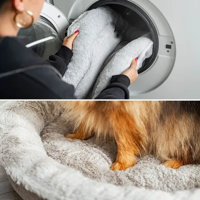 lionto coussin rond pour chien en forme de donut, doux et lavable