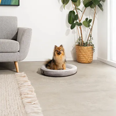 lionto coussin rond pour chien en forme de donut, doux et lavable lionto coussin rond pour chien en forme de donut, doux et lavable