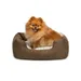 lionto Hundebett mit weichem Kissen und niedrigem Einstieg