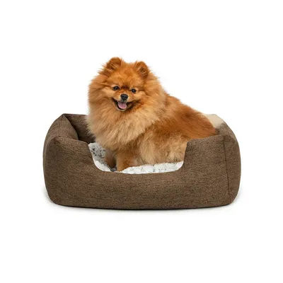 lionto panier pour chien avec coussin moelleux et entrée basse
