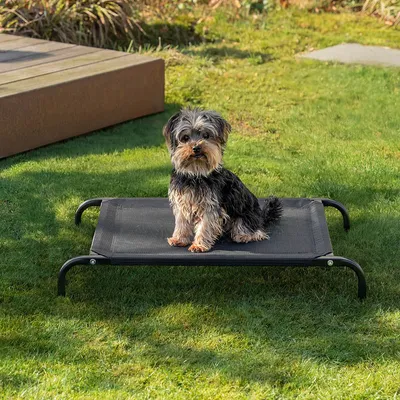 lionto lit pour chien extérieur surélevé en tissu respirant robuste lionto lit pour chien extérieur surélevé en tissu respirant robuste