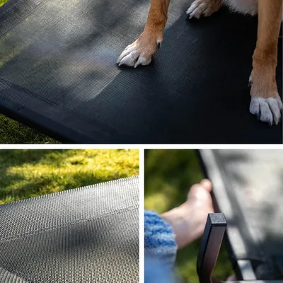 lionto lit pour chien extérieur surélevé en tissu respirant robuste lionto lit pour chien extérieur surélevé en tissu respirant robuste