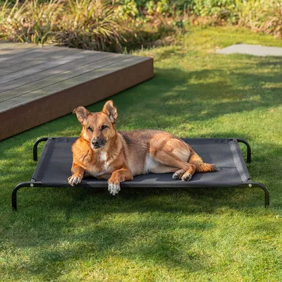 lionto lit pour chien extérieur surélevé en tissu respirant robuste lionto lit pour chien extérieur surélevé en tissu respirant robuste