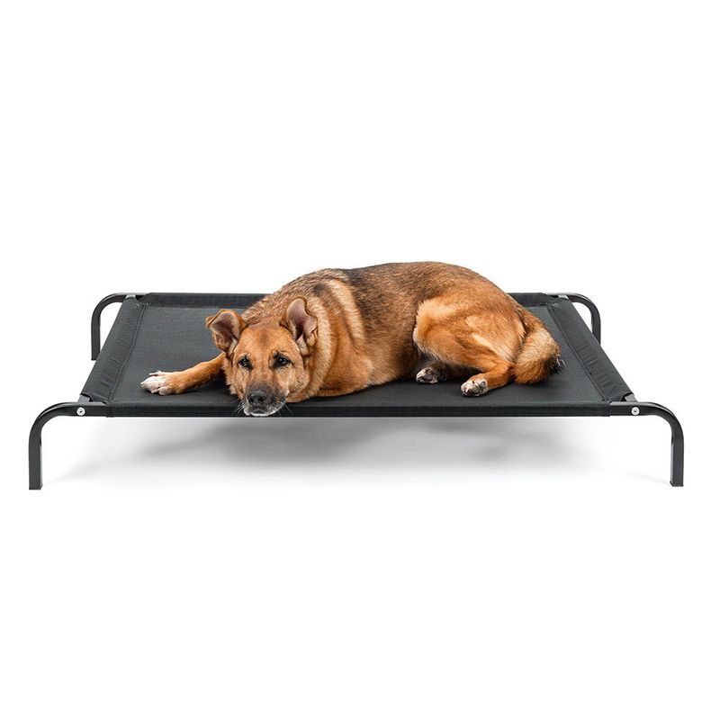 lionto lit pour chien extérieur surélevé en tissu respirant robuste