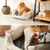 lionto panier pour chien avec coussin moelleux et entrée basse lionto panier pour chien avec coussin moelleux et entrée basse