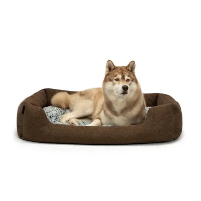 lionto panier pour chien avec coussin moelleux et entrée basse