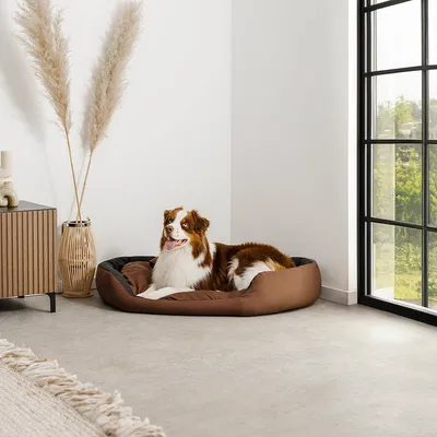 lionto panier pour chien 4-en-1 avec coussin réversible en tissu Oxford