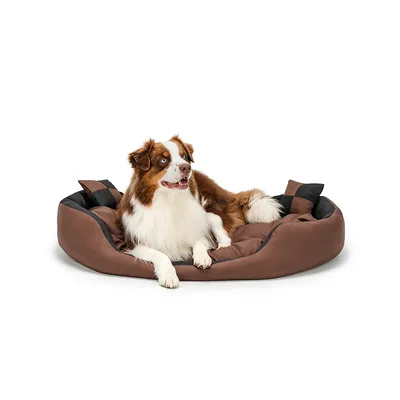 lionto panier pour chien 4-en-1 avec coussin réversible en tissu Oxford