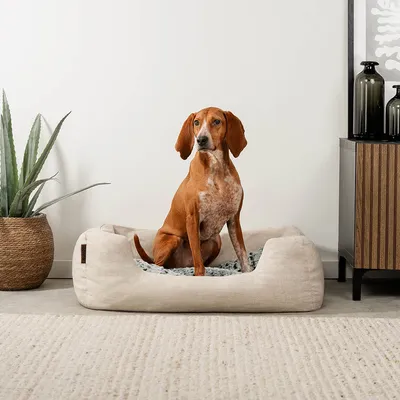 lionto panier pour chien avec coussin moelleux et entrée basse lionto panier pour chien avec coussin moelleux et entrée basse