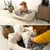 lionto panier pour chien avec coussin moelleux et entrée basse lionto panier pour chien avec coussin moelleux et entrée basse