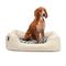 lionto panier pour chien avec coussin moelleux et entrée basse 80 x 60 x 27 cm, Beige