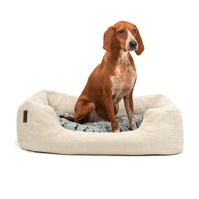 lionto panier pour chien avec coussin moelleux et entrée basse