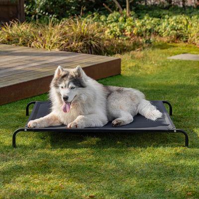lionto lit pour chien extérieur surélevé en tissu respirant robuste