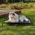 lionto lit pour chien extérieur surélevé en tissu respirant robuste lionto lit pour chien extérieur surélevé en tissu respirant robuste