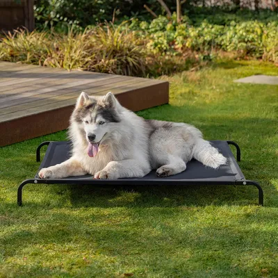 lionto lit pour chien extérieur surélevé en tissu respirant robuste lionto lit pour chien extérieur surélevé en tissu respirant robuste