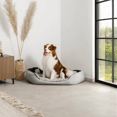 lionto panier pour chien 4-en-1 avec coussin réversible en tissu Oxford lionto panier pour chien 4-en-1 avec coussin réversible en tissu Oxford